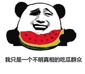 吃瓜 社会十大潜规则,揭秘吃瓜群众必知的十大社会潜规则